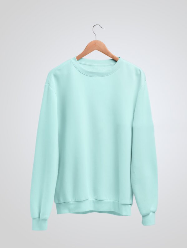 Plain Mint Sweatshirt For Men's
